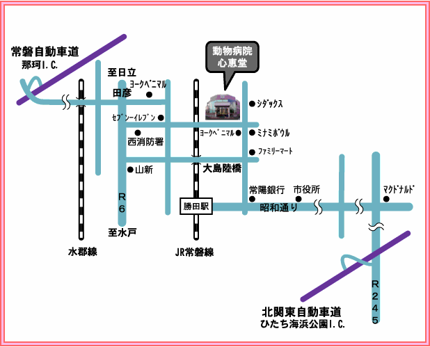 心恵堂　アクセスマップ