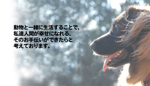 動物と一緒に生活することで